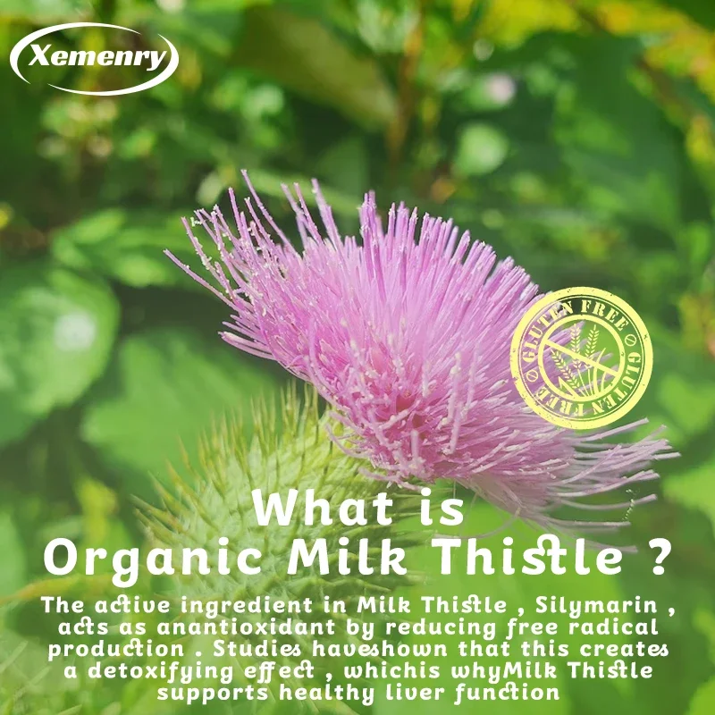 Devedikeni Kapsülleri 1000mg - - Milk Thistle Silymarin incelemesi ve fiyatı
