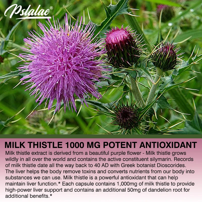 Doğal Süt Devedikeni Takviyesi - Milk Thistle Silymarin incelemesi ve fiyatı
