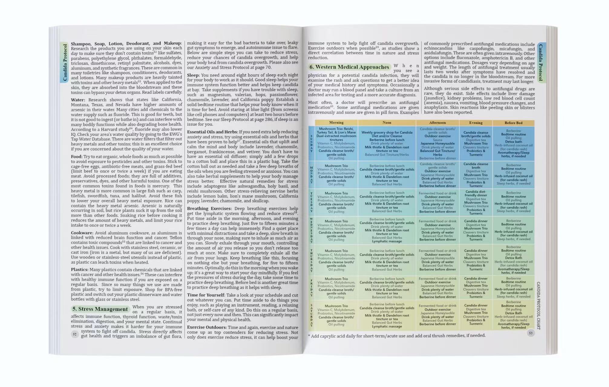 Bütünsel Sağlık Rehberi: Doğal - Herbal Wellness Book incelemesi ve fiyatı